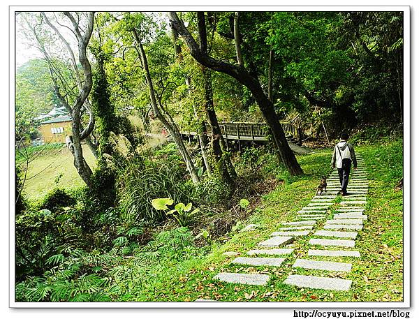 SAM_6050.jpg SAM_6050.jpg