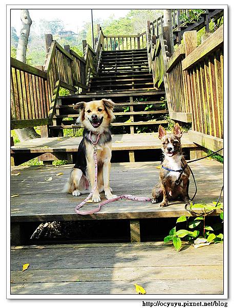 SAM_6054.jpg SAM_6054.jpg