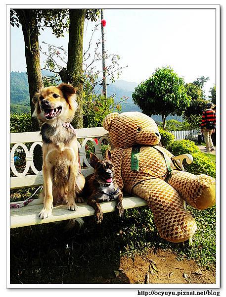 SAM_6063.jpg SAM_6063.jpg