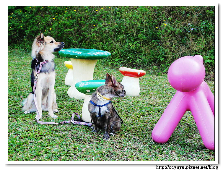 SAM_6623.jpg SAM_6623.jpg