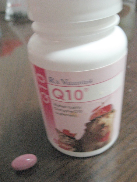 寵特寶 Q10