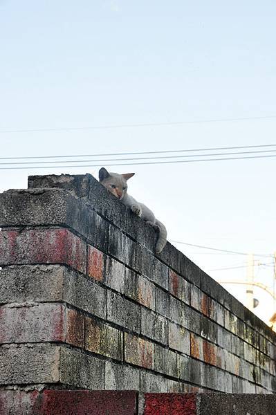 DSC_0895 DSC_0895