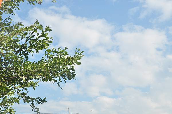 DSC_1231.JPG DSC_1231.JPG