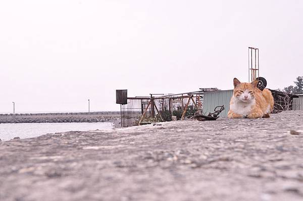 DSC_0211.jpg DSC_0211.jpg