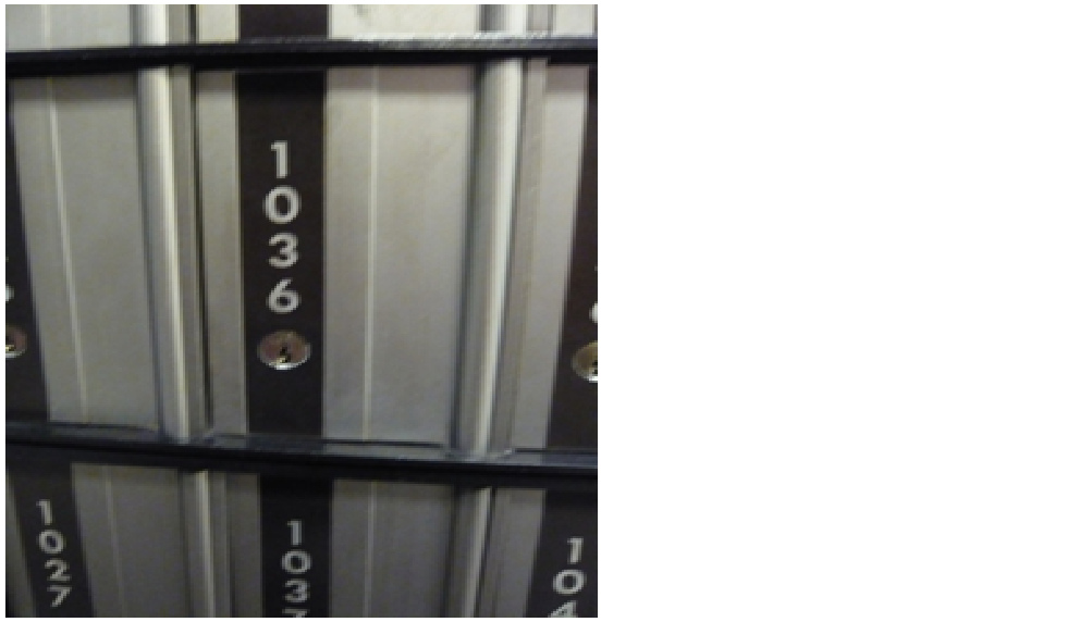 未命名1.bmp 未命名1.bmp