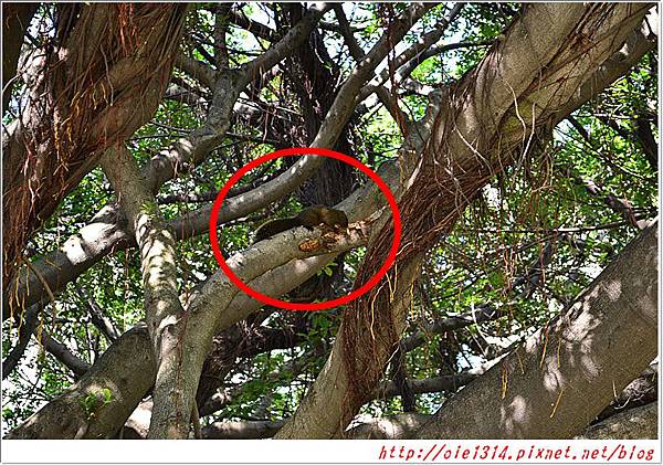 DSC_6290 (122) DSC_6290 (122)