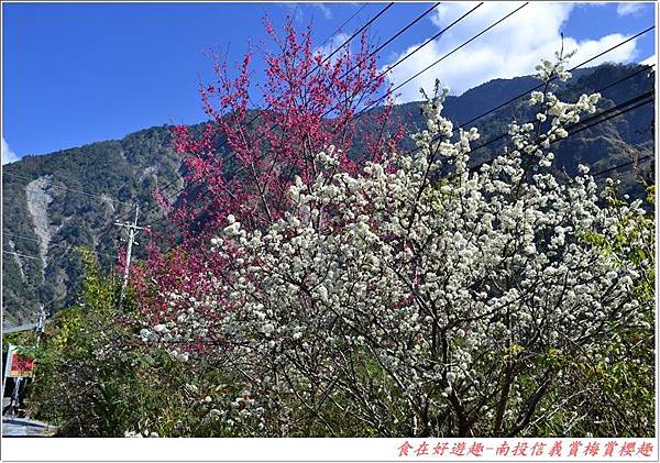 DSC_1384 (101) DSC_1384 (101)