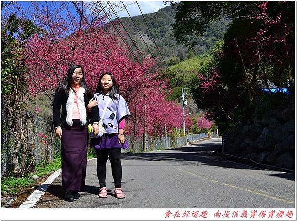 DSC_1384 (117) DSC_1384 (117)