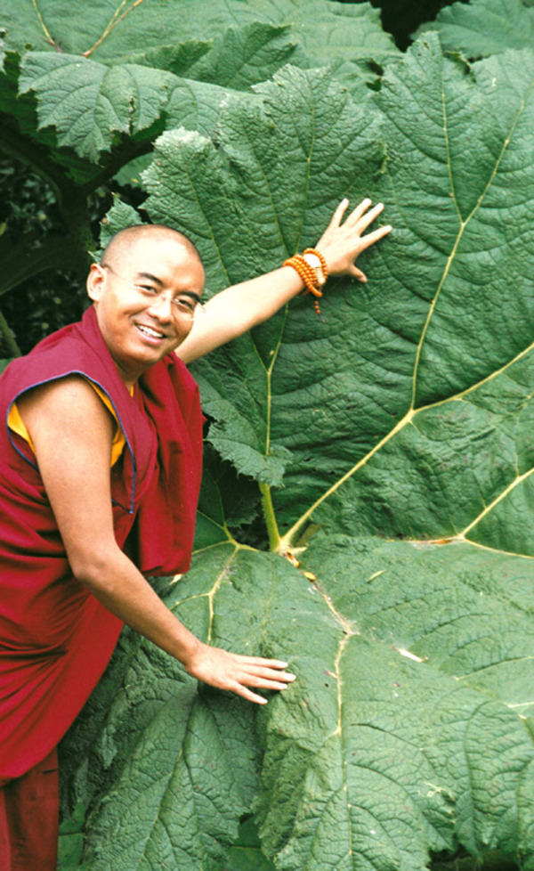 5f851321jw1dnhedsb74hj 5f851321jw1dnhedsb74hj