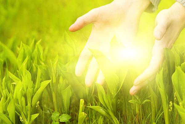 d924d84a-ed6b-4c2f-bb6f-11f0061438be d924d84a-ed6b-4c2f-bb6f-11f0061438be