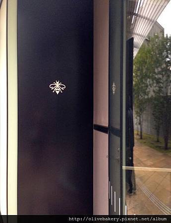 IMG_8851.jpg IMG_8851.jpg