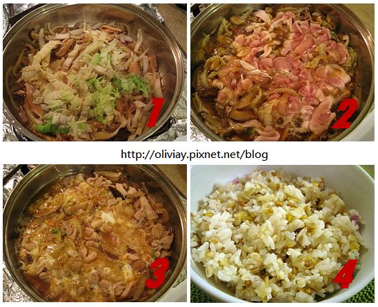自己動手做好吃的親子丼 圖解 奧莉薇亞 料理 貓 痞客邦