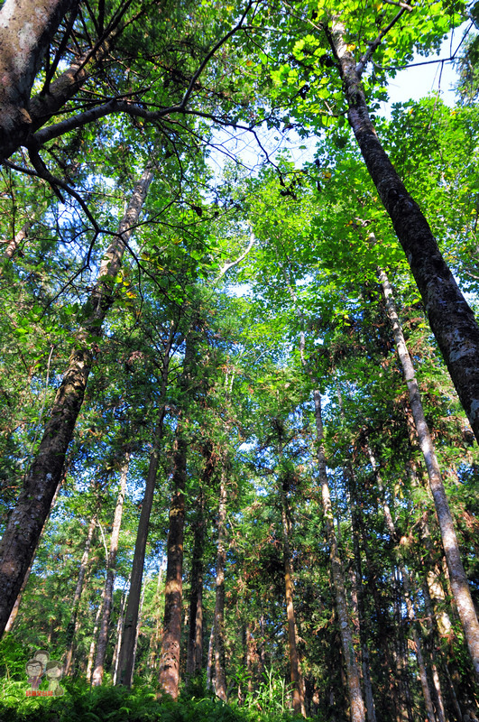 DSC_3394.jpg DSC_3394.jpg