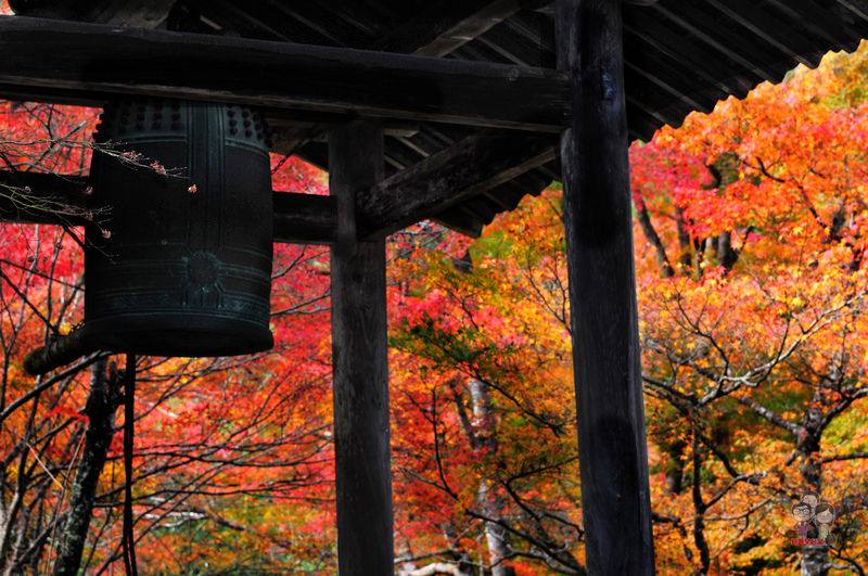 DSC_6583.jpg DSC_6583.jpg