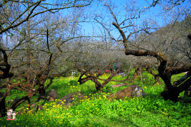 DSC_8364.jpg DSC_8364.jpg