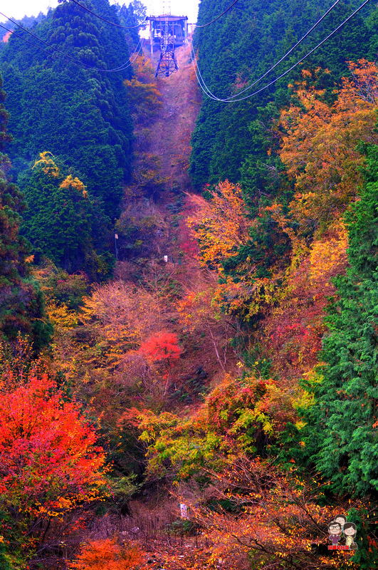 DSC_7339.jpg DSC_7339.jpg