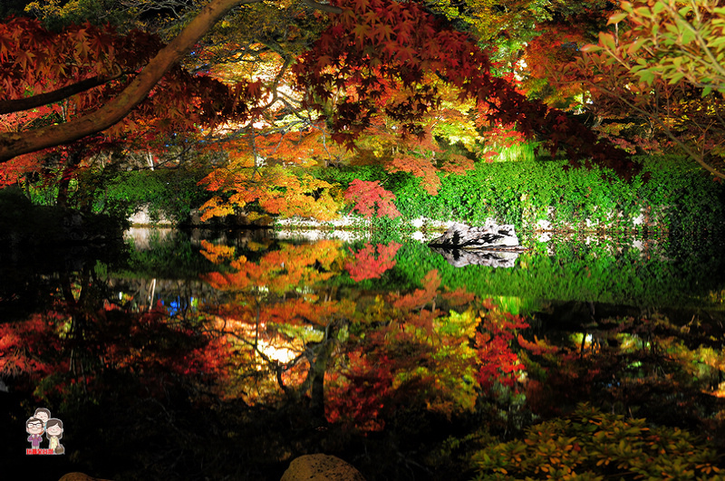 DSC_7491.jpg DSC_7491.jpg