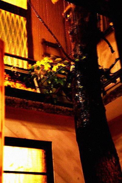 563058_442303779119456_100000195140877_1981881_1183724727_n