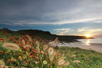 1016962_670959556264756_1803808611_n