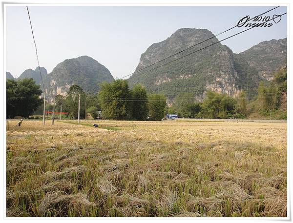 中越祕境DAY 4 (13).JPG 中越祕境DAY 4 (13).JPG