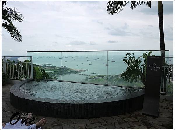 Marina Bay Sands - swimming pool (5)