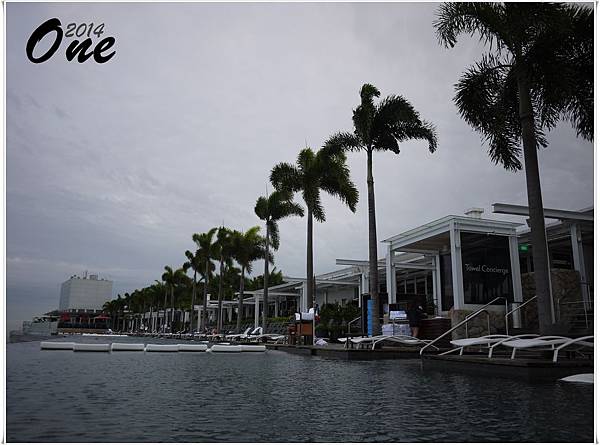 Marina Bay Sands - swimming pool (7)