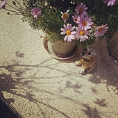 IMG_20130223_145738 IMG_20130223_145738