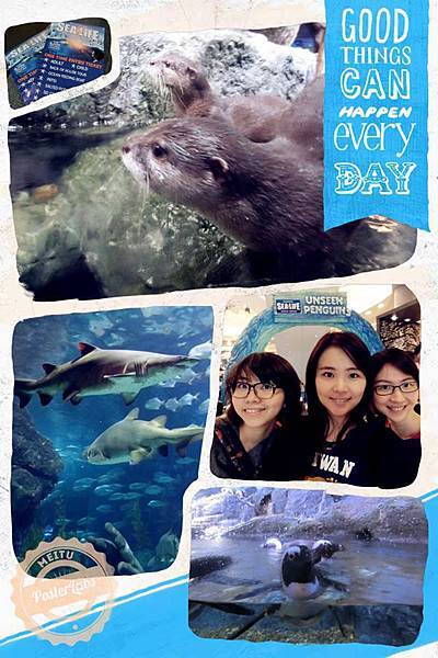 10906219_10202385025502010_5097502051844634827_n 10906219_10202385025502010_5097502051844634827_n