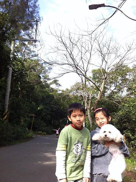 428102_523393951037980_83496662_n