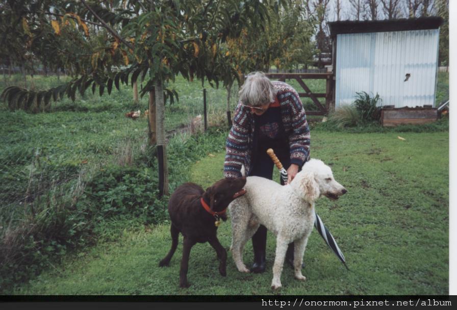 6Onor & guide dog Simon.jpg