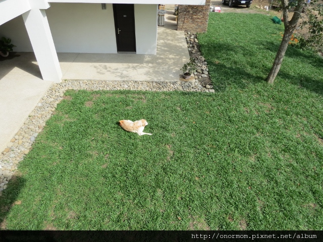 IMG_6960 (640x480) IMG_6960 (640x480)