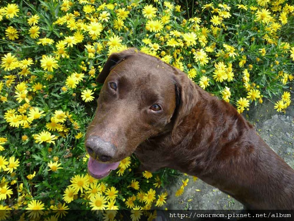 onor0129-1.jpg onor0129-1.jpg