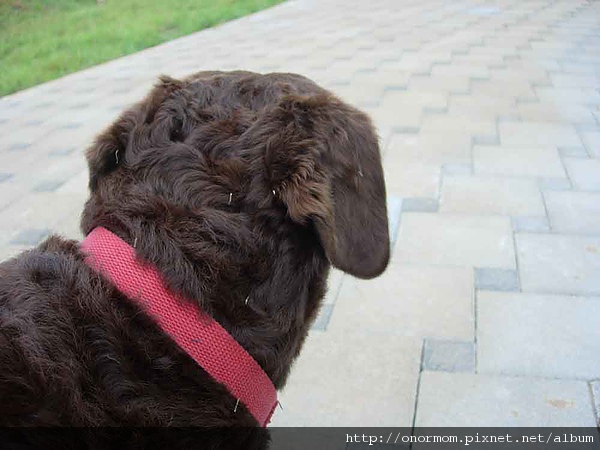 DSCN2848.jpg DSCN2848.jpg