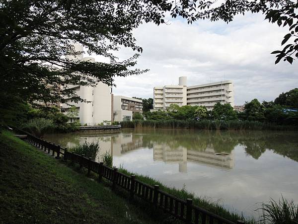 DSC06542