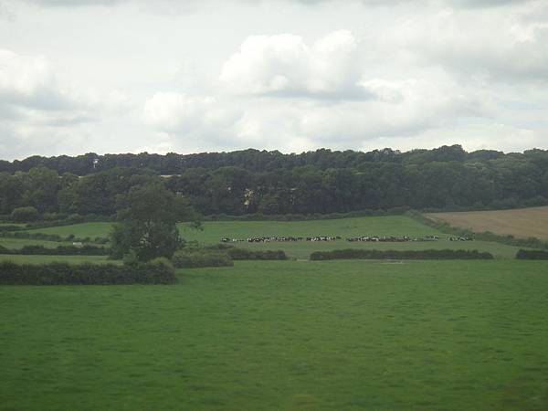 DSC07226