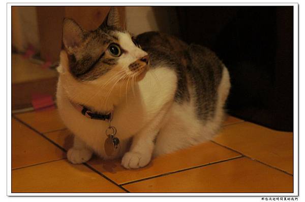 DSC05750.jpg DSC05750.jpg