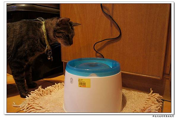 DSC05713.jpg DSC05713.jpg