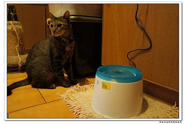 DSC05715.jpg DSC05715.jpg