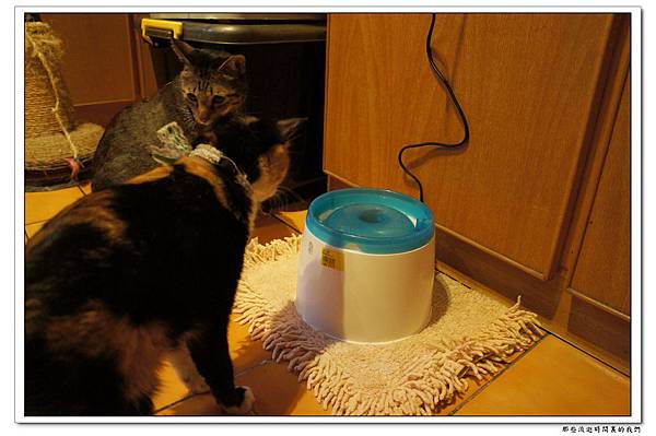 DSC05717.jpg DSC05717.jpg