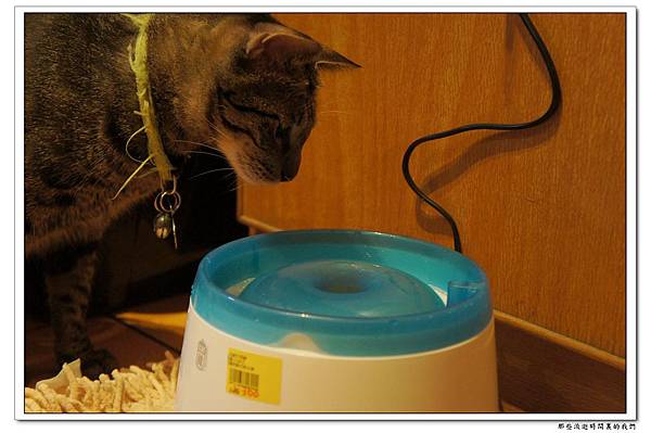 DSC05720.jpg DSC05720.jpg