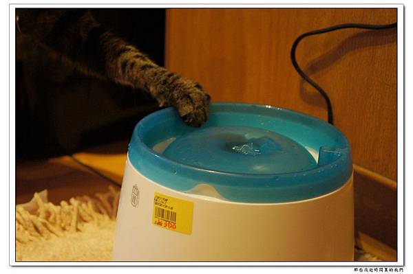 DSC05721.jpg DSC05721.jpg