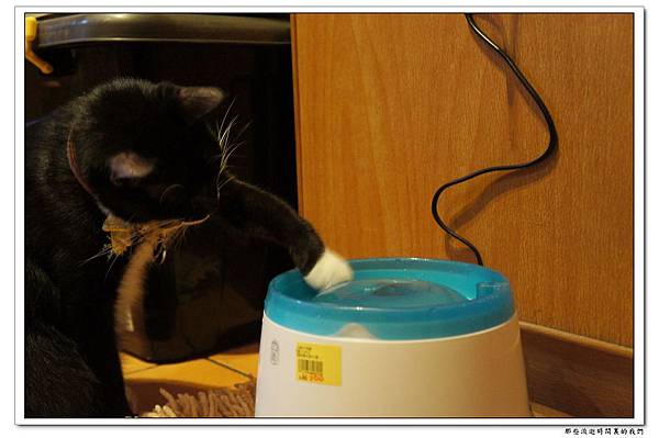 DSC05729.jpg DSC05729.jpg