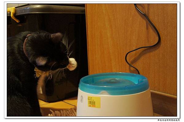 DSC05735.jpg DSC05735.jpg