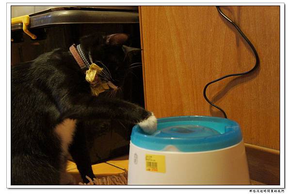 DSC05737.jpg DSC05737.jpg