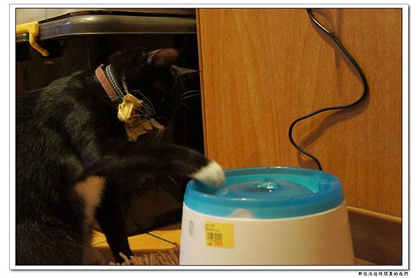 DSC05738.jpg DSC05738.jpg