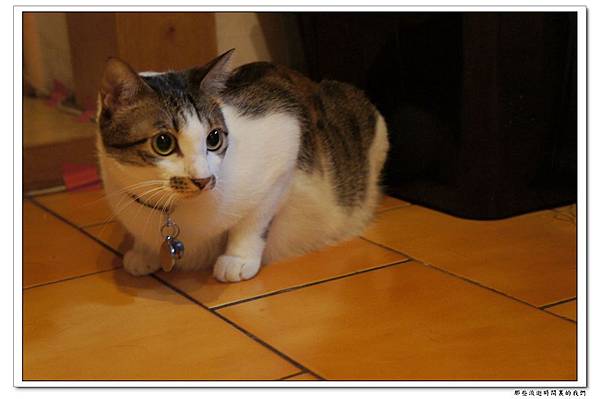 DSC05747.jpg DSC05747.jpg