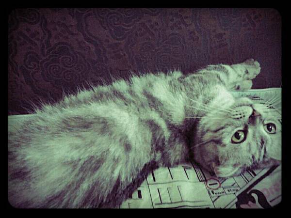 156536_363995823660347_1166139844_n