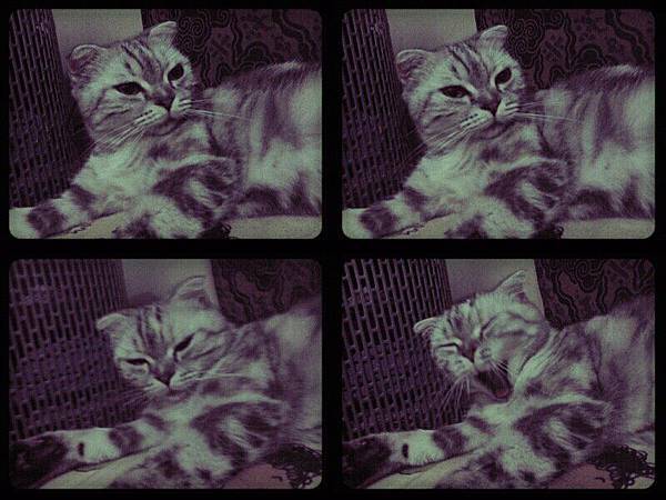 554337_346584485401481_1212725918_n