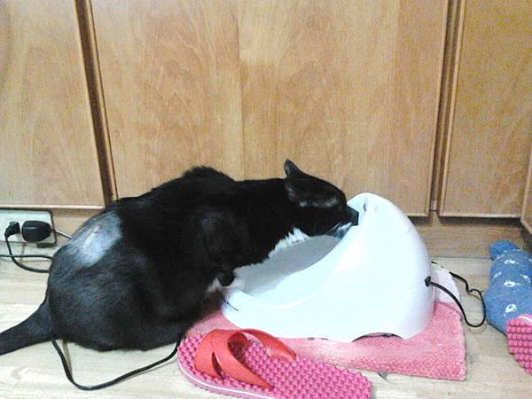 304762_393290204064242_50892587_n