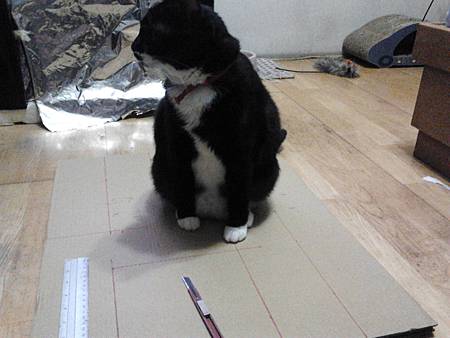 2012-08-13 20.21.08 2012-08-13 20.21.08